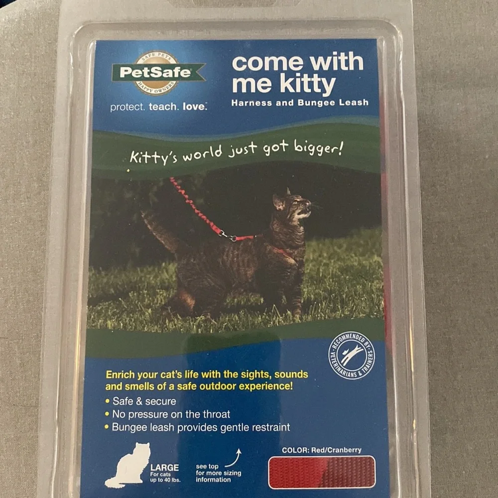 Cat harness and bungee cord leash.